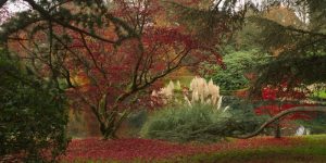 colori-giardino-autunno-codiferro