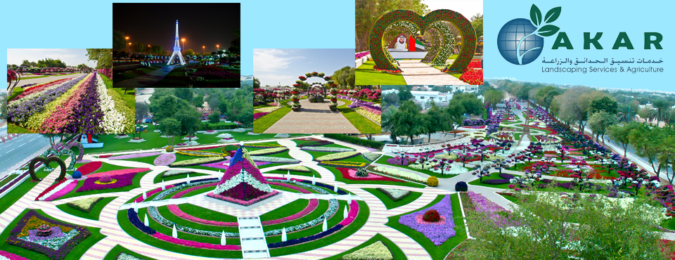 Giardino fiorito di Al Ain
