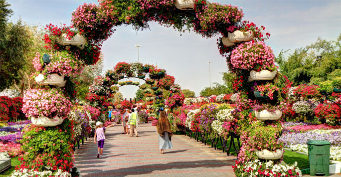 giardino fiorito di Al Ain