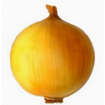 alliaceae