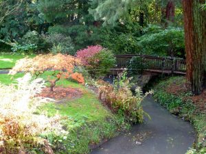 giardino giapponese