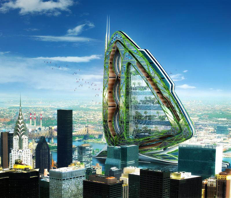 dragonfly-urban-farm