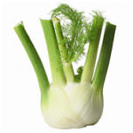 finocchio