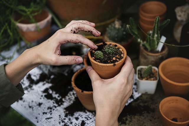 giardinaggio cambiamenti climatici