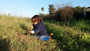 giardinaggio e arte