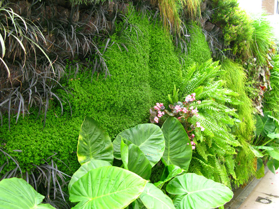 giardini-verticali