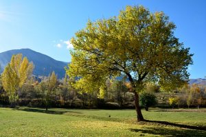 giardino-con-poca-acqua-2