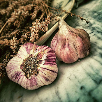 infuso di aglio antiparassitario