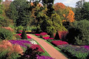 longwood-garden