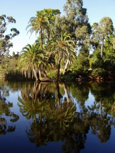 melbourne-australia-royal-botanical-garden