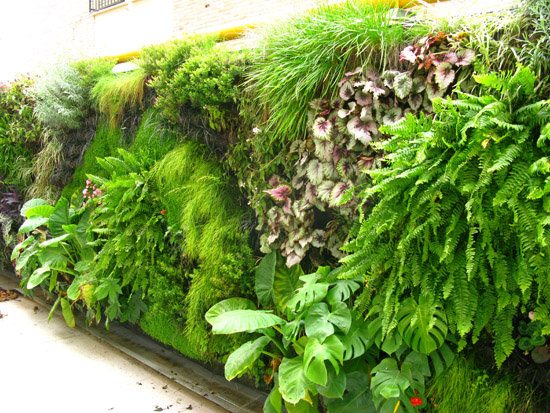 muro-verde-ospedale-Siviglia
