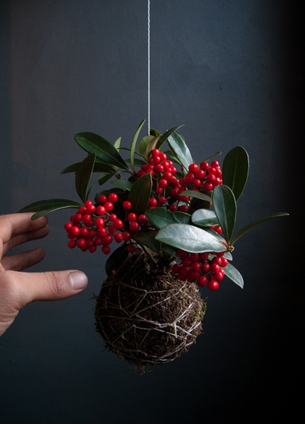 piante da-interni-kokedama- Firenze