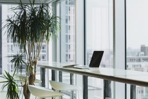 piante posto lavoro