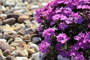pietre-giardino-2