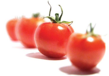 giugno…e i pomodori!