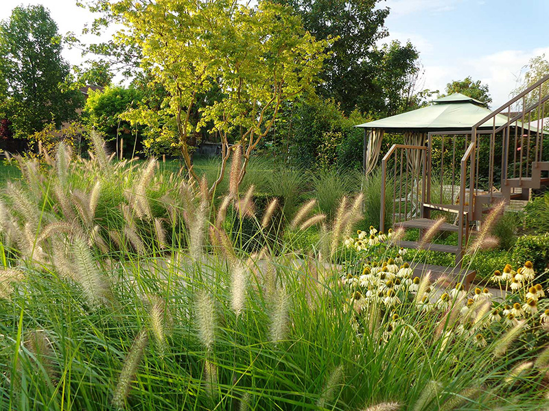 progettare un giardino low cost