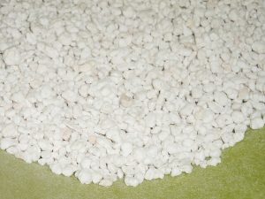 terriccio-piante-grasse-perlite