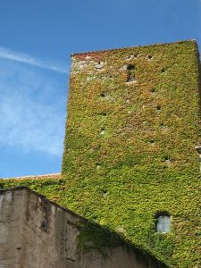 verde-verticale