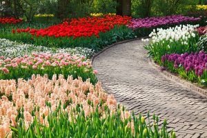 giardino colorato