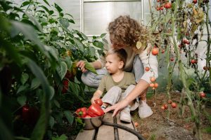 giardinaggio alimentare