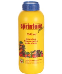 sprintene-codiferro-cura-piante