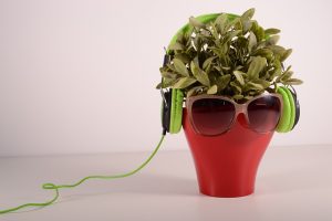 giardino sonoro